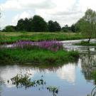 B&B Swaluw's kiek