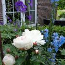 B & B Tussen Broek en Duin