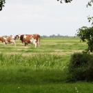 Buitenplaats De Blauwe Meije