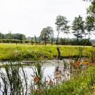 B&B Bij Boom
