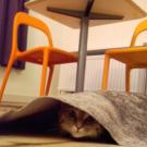 Lodging At 8 - Room 2
