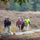 B&B Bosryck Eelen