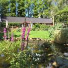 B&B De Porrepoele