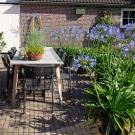 B & B Tussen Broek en Duin