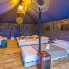 La Tenda Glamping Canggu - Tent (1-5 persons)
