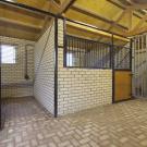 Arendsnest