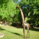 101 Oudtshoorn Holiday Accommodation