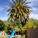 101 Oudtshoorn Holiday Accommodation