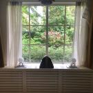 Bed and Breakfast De Haen - Luxe appartement (60m2)