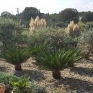 B&B Villa Lavanda