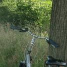 De Paddestoel - Gastenverblijf
