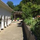Casa Traca