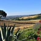 Bed & Breakfast Casa dei Colli - Vakantiehuisje Oleandro
