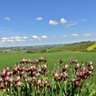 Bed & Breakfast Casa dei Colli