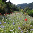 The Conscious Farmer Bed and Breakfast