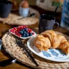 Bed & Breakfast Kastanjehof