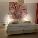 B&B De Ontdekking