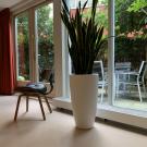 B&B De Ontdekking