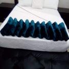 Essential Guest House