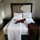 Essential Guest House - Standard Double Room