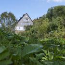The Conscious Farmer Bed and Breakfast