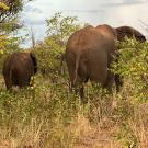 Adrenaline Lodge and Tours