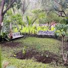 Adrenaline Lodge and Tours