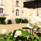 Château la Mothaye - Chateau studio - Melrose