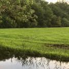 De Warrewein - Retraitehuisje met buitenbad