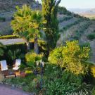 Bed & Breakfast Casa don Carlos