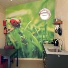 De Roek Vakantiebungalows - Tiny house Lieveheersbeestje