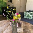 De Roek Vakantiebungalows - Tiny house Lieveheersbeestje