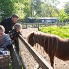 De Roek Vakantiebungalows