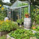 De Roek Vakantiebungalows