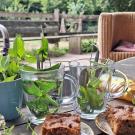 De Roek Vakantiebungalows