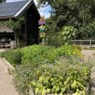 De Roek Vakantiebungalows