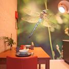 De Roek Vakantiebungalows - Tiny house Libelle
