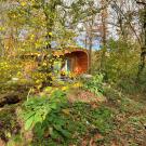 De Roek Vakantiebungalows - Tiny house Libelle
