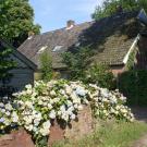 Onder de Eiken