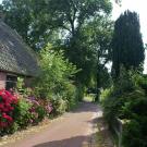 Onder de Eiken