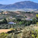 Finca Amorosa