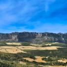 Finca Amorosa