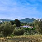 Finca Amorosa