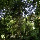 "Road to the Forest" Guesthouse