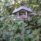 "Road to the Forest" Guesthouse