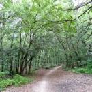 "Road to the Forest" Guesthouse