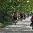 "Road to the Forest" Guesthouse