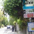 "Road to the Forest" Guesthouse