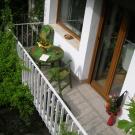 "Road to the Forest" Guesthouse