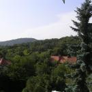 "Road to the Forest" Guesthouse